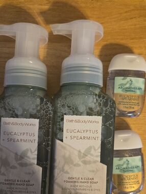 Bath & Body Works Eucalyptus + Spearmint Foaming Hand Soaps and Hand Gels